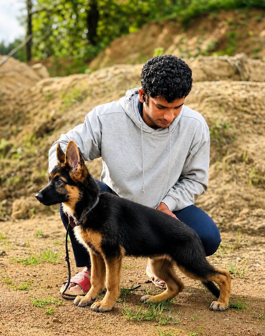 German Shepherd puppy with its handler